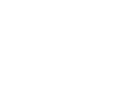 ПТО АЭЛИТА